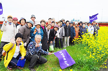 ４月の友の会菜の花散歩