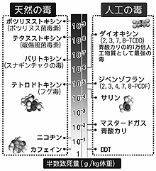 人工の毒ではダイオキシンが最も強いが、天然の毒・ボツリヌス菌はさらに強い毒性を持っています