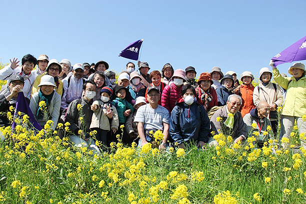 友の会の菜の花散歩